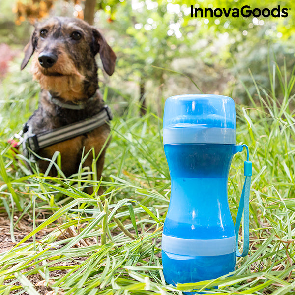 Accessoire indispensable pour voyager avec son chien