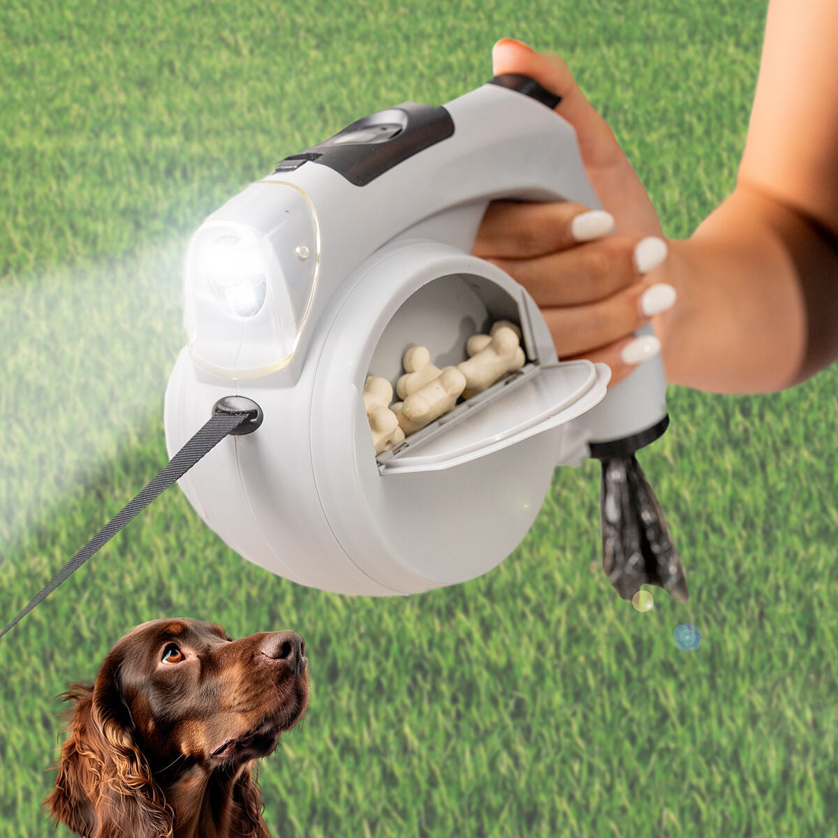 comment transporter son chien en randonnée en toute sécurité