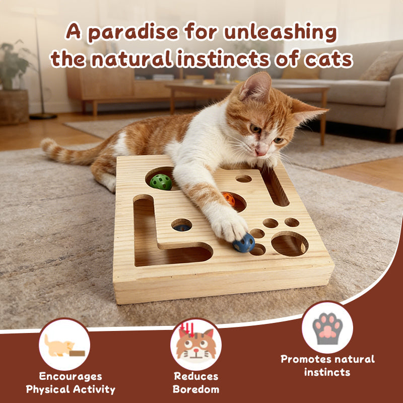 Meilleur jouet interactif pour chat intérieur