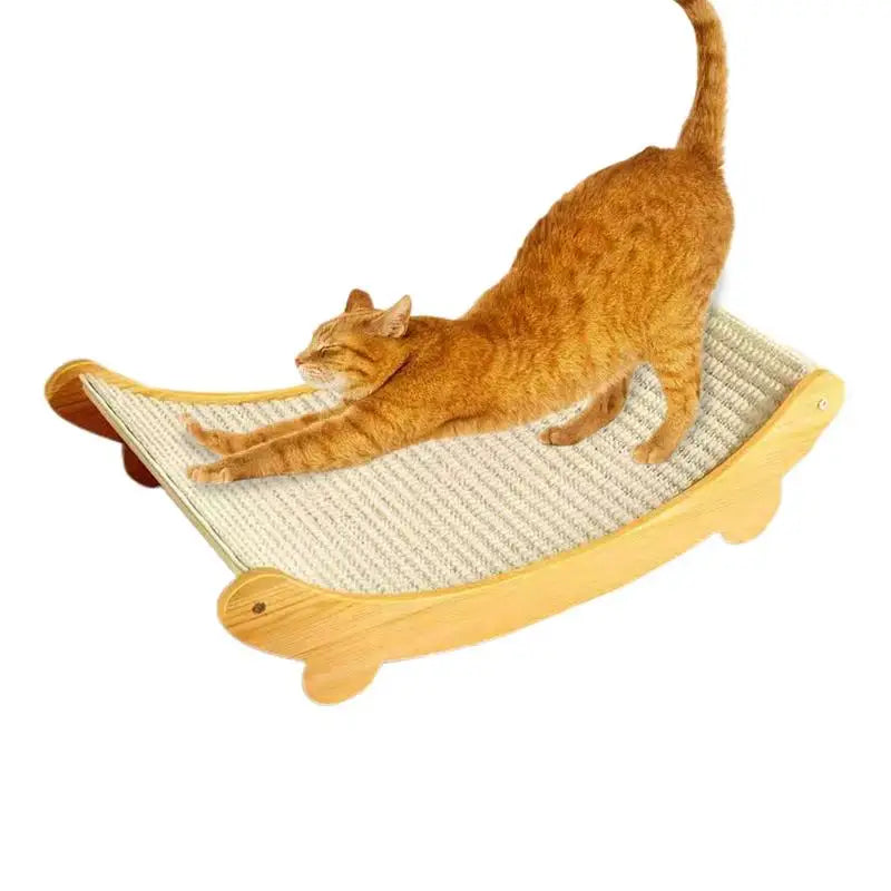 Meilleur accessoire anti stress pour chien seul à la maison