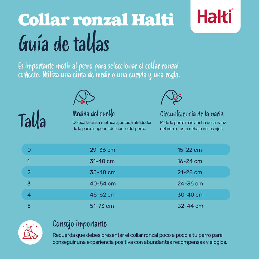 Muselière Company of Animals COBALT Bleu 4