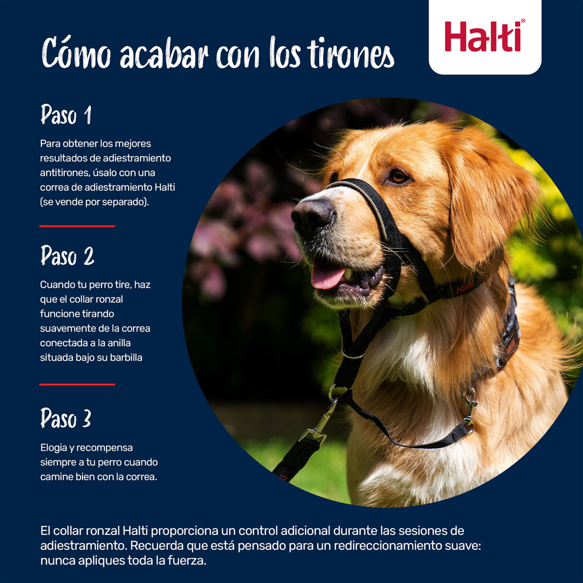 Muselière Company of Animals COBALT Bleu 4