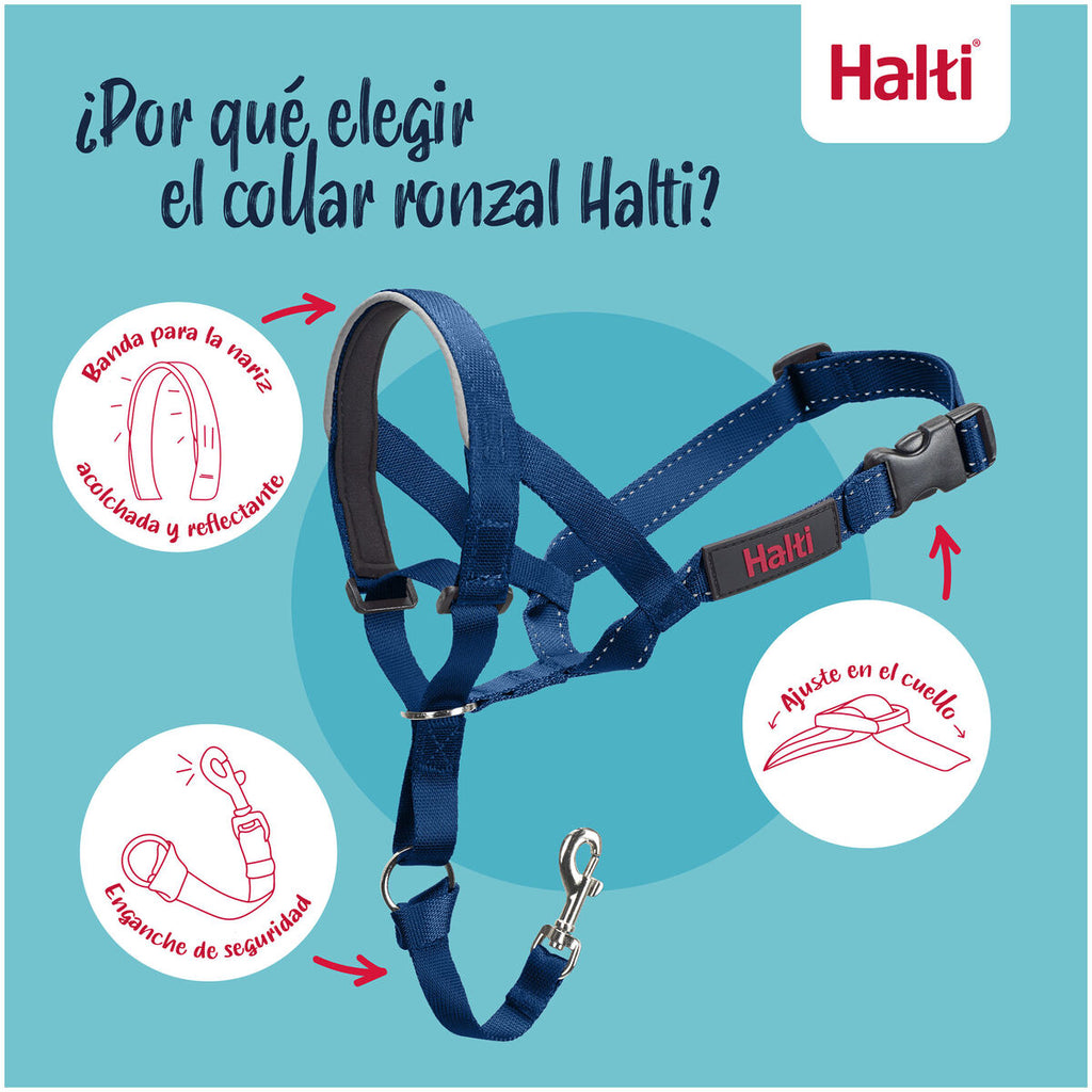 Muselière Company of Animals COBALT Bleu 4