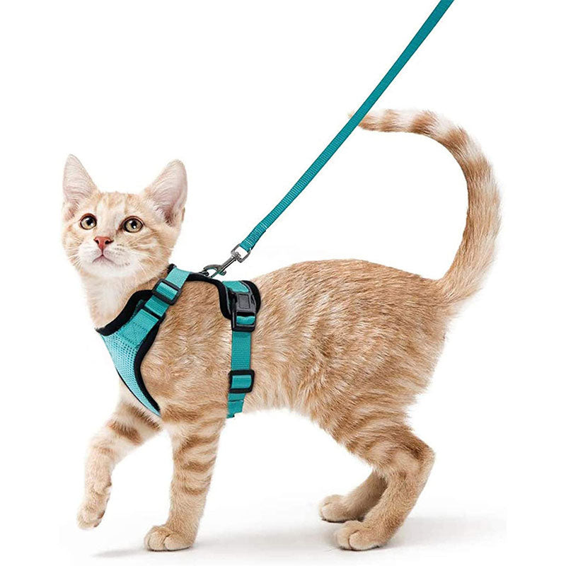 Cat Harness and Leash with Easy Control, Escape-Proof - Soft Adjustable Vest Harness for Walking Cats.