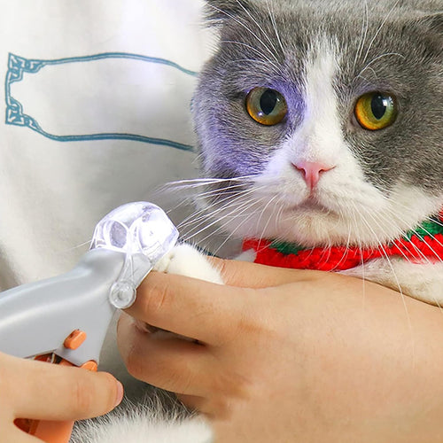 Coupe-ongles Professionnel à LED pour Chats et Chiens – Précision & Sécurité