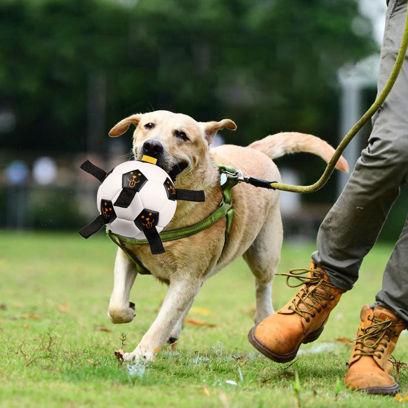 Pet Ball TBalle de football interactive d'extérieur pour chien, balle à mâcher multifonctionnelle avec corde, jouet pour chien
