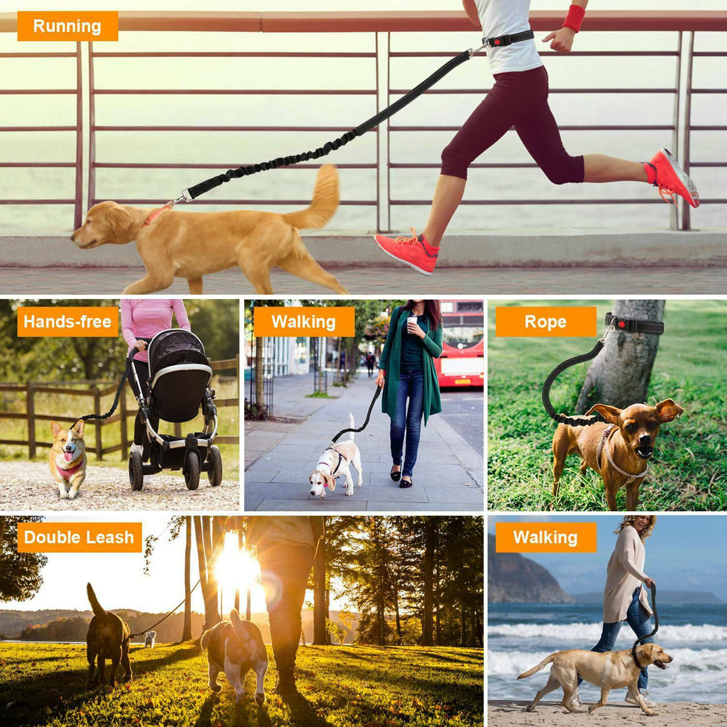 Laisse de Chien Mains Libres avec Ceinture Ventrale – Confort, Sécurité et Liberté de Mouvement