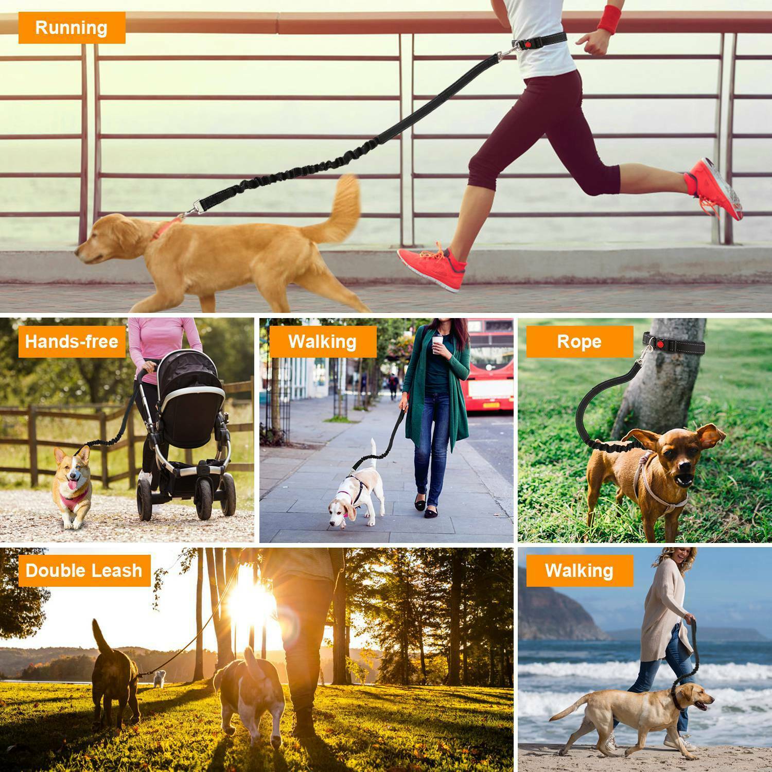 Laisse de Chien Mains Libres avec Ceinture Ventrale – Confort, Sécurité et Liberté de Mouvement