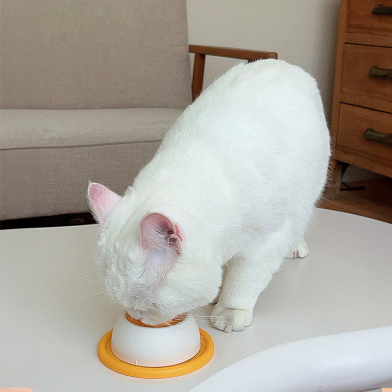 Tapis De Léchage Chien, Bol À Lécher Liquide pour Chien, Jouet D'enrichissement À Lécher pour Chiots Et Chats, Entraînement À Une Alimentation Saine, Apaisement Et Soulagement De L'anxiété