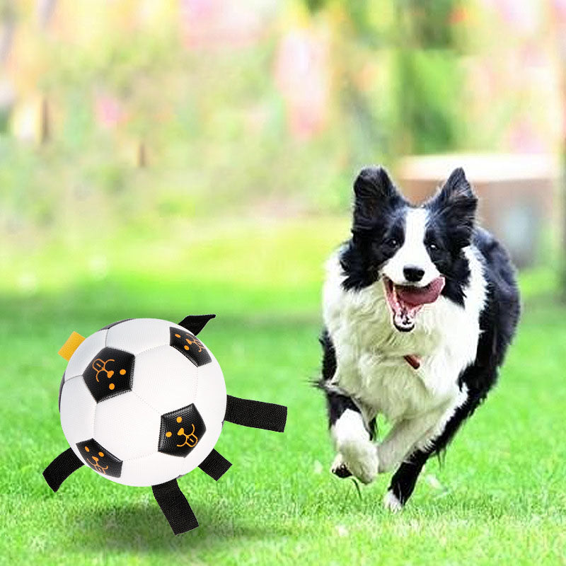Pet Ball TBalle de football interactive d'extérieur pour chien, balle à mâcher multifonctionnelle avec corde, jouet pour chien