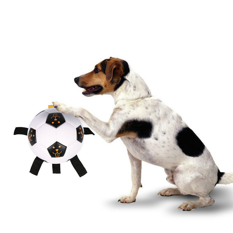 Pet Ball TBalle de football interactive d'extérieur pour chien, balle à mâcher multifonctionnelle avec corde, jouet pour chien