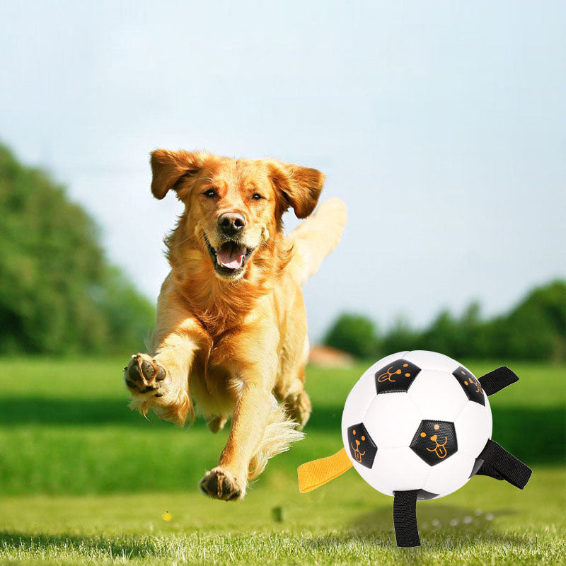 Pet Ball TBalle de football interactive d'extérieur pour chien, balle à mâcher multifonctionnelle avec corde, jouet pour chien