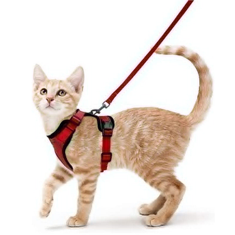 Cat Harness and Leash with Easy Control, Escape-Proof - Soft Adjustable Vest Harness for Walking Cats.