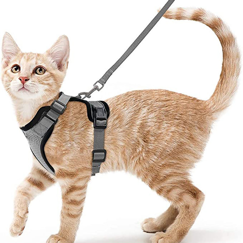 Cat Harness and Leash with Easy Control, Escape-Proof - Soft Adjustable Vest Harness for Walking Cats.