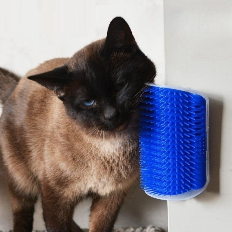 Brosse d'angle murale quatre couleurs avec poudre de menthe pour chat offerte, masseur pour chat doux pour la peau, peigne pour chatn, balle à mâcher multifonctionnelle avec corde, jouet pour chien